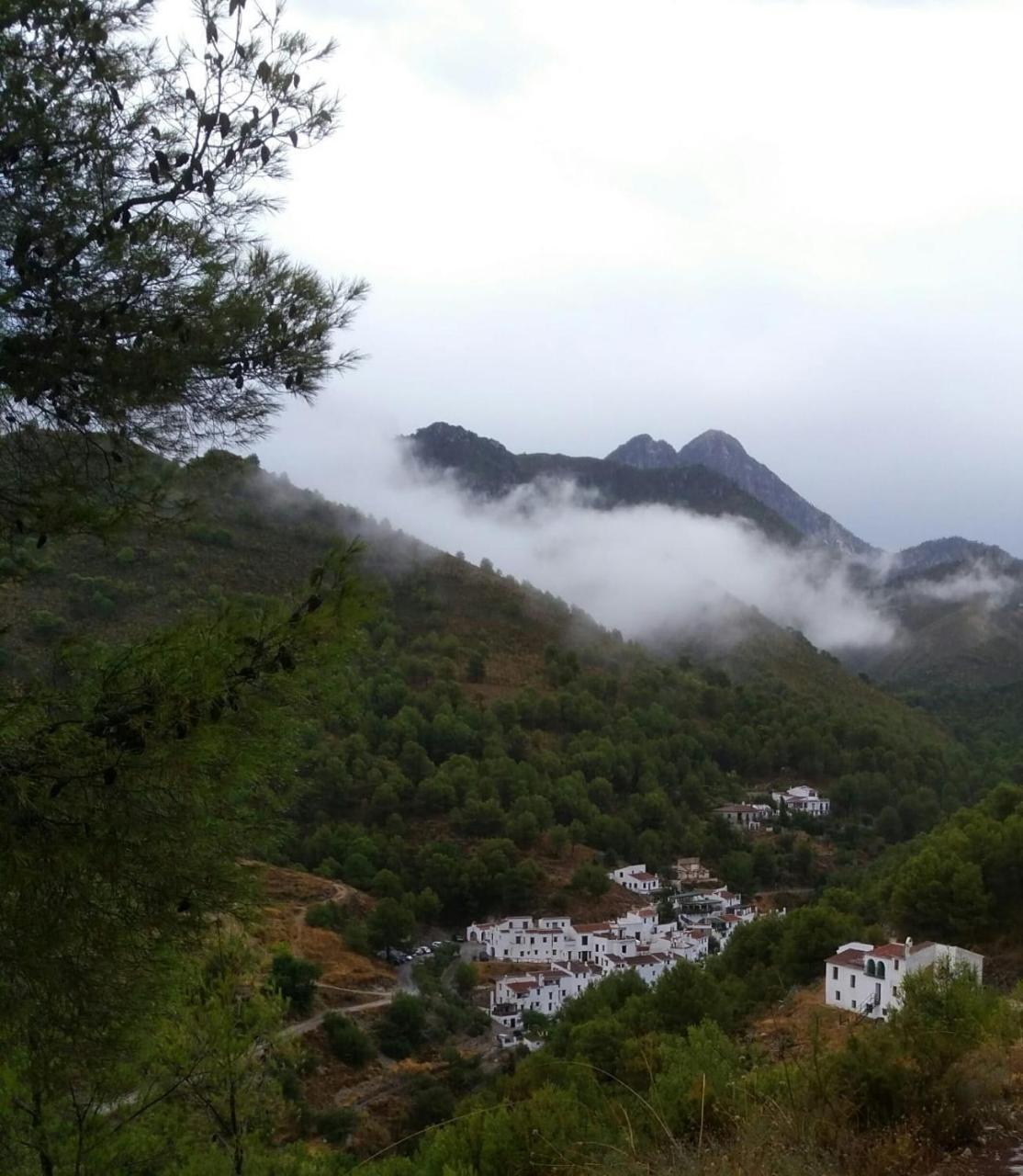 B&B The Lost Village El Acebuchal Frigiliana Exteriör bild